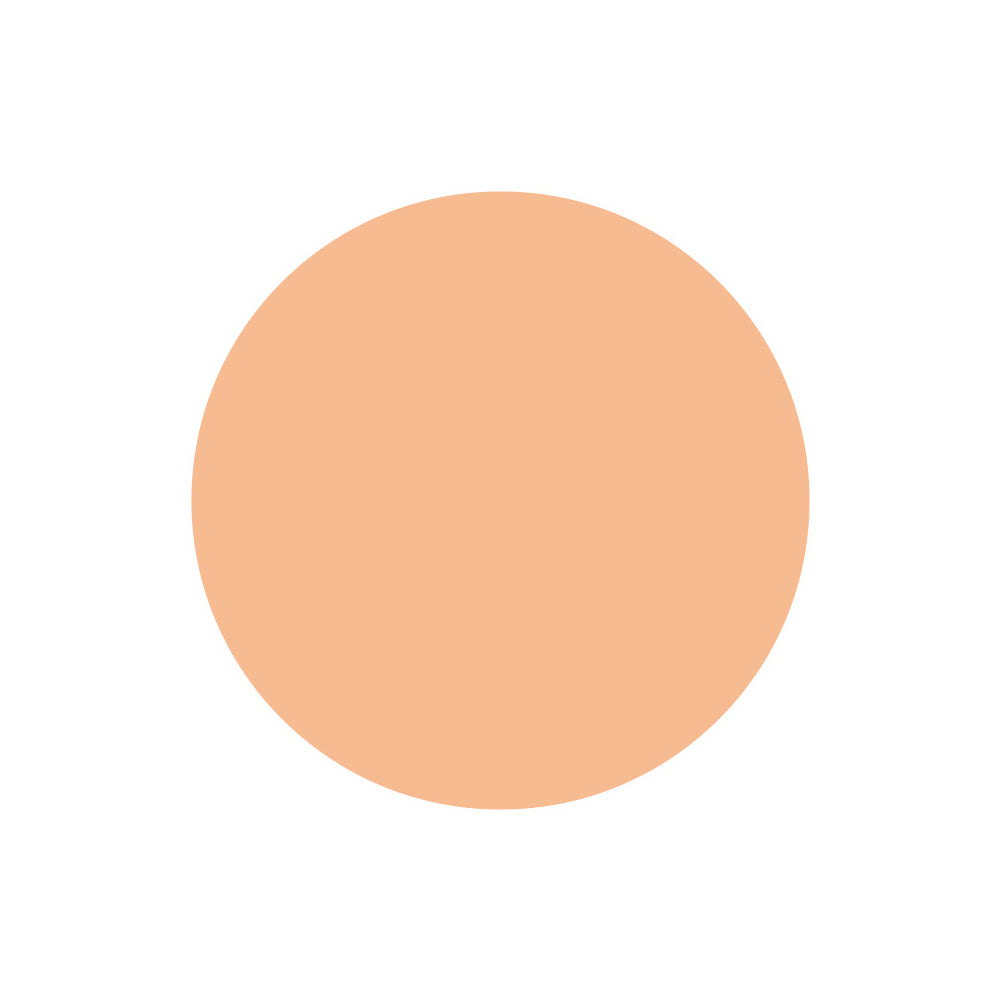 SHISEIDO Shiseido UV Protective Compact Foundation (Refill) Medium Ivory