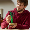 LEGO Botanicals: Lucky Bamboo (10344)