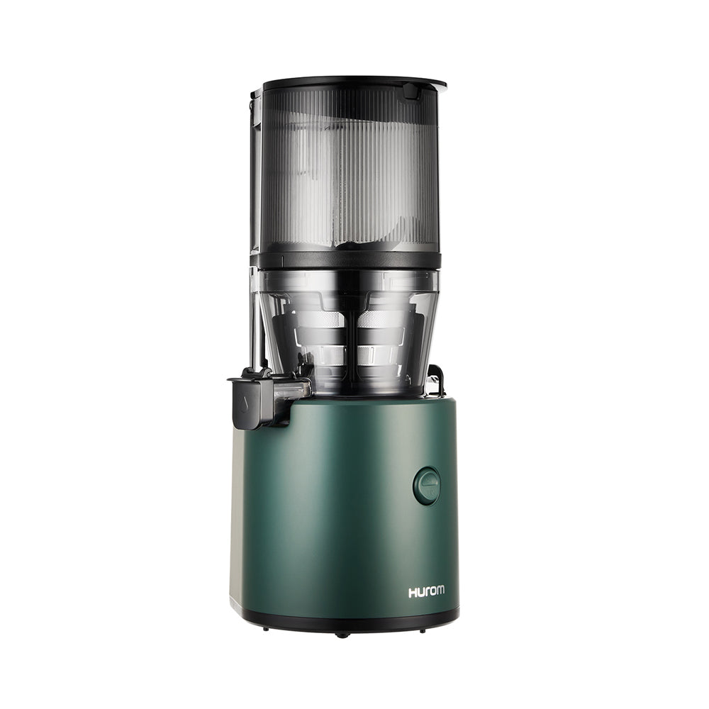 HUROM Slow Juicer (H320N)