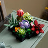 LEGO Icons: Succulents (10309)