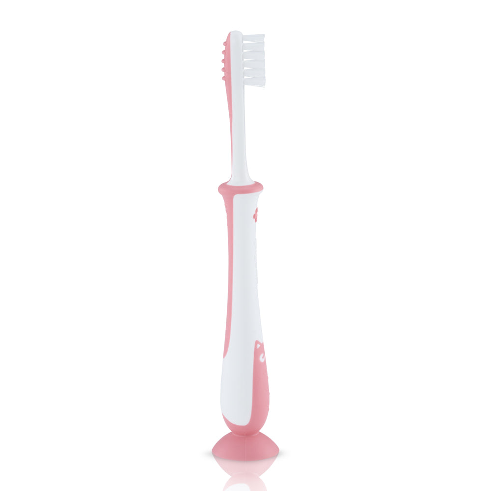 Pigeon Training Toothbrush Lesson 4 Pink (79782)