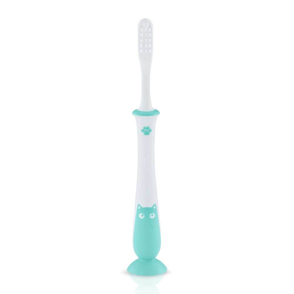 Pigeon Training Toothbrush Lesson 4 Mint (79783)