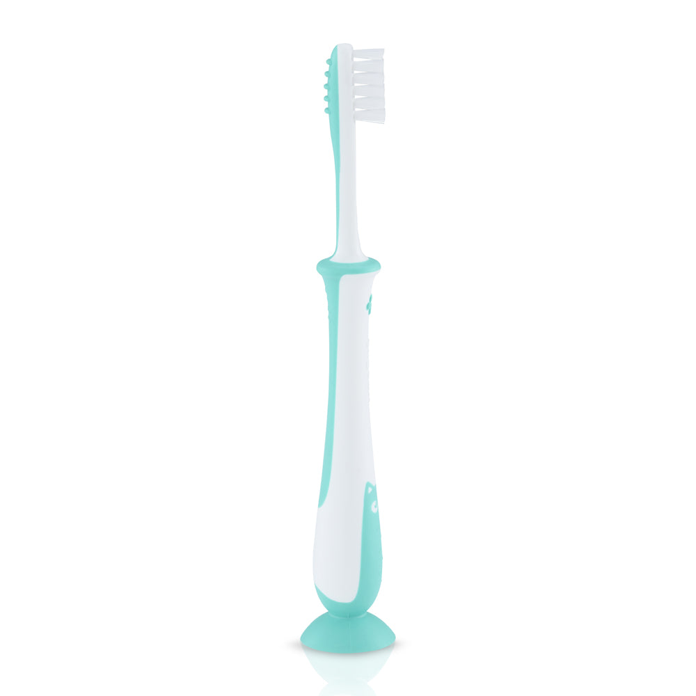 Pigeon Training Toothbrush Lesson 4 Mint (79783)