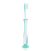 Pigeon Training Toothbrush Lesson 4 Mint (79783)