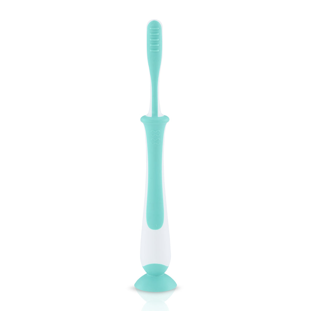 Pigeon Training Toothbrush Lesson 4 Mint (79783)