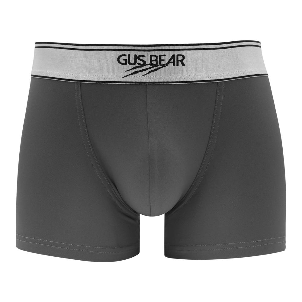 (Bundle of 2) GUS BEAR Microfiber Trunks (1-pc pack) - Grey