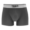 (Bundle of 2) GUS BEAR Microfiber Trunks (1-pc pack) - Grey