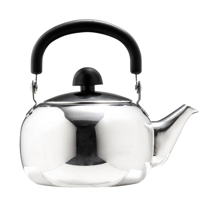 Dolphin Stainless Steel Tea Kettle 1L