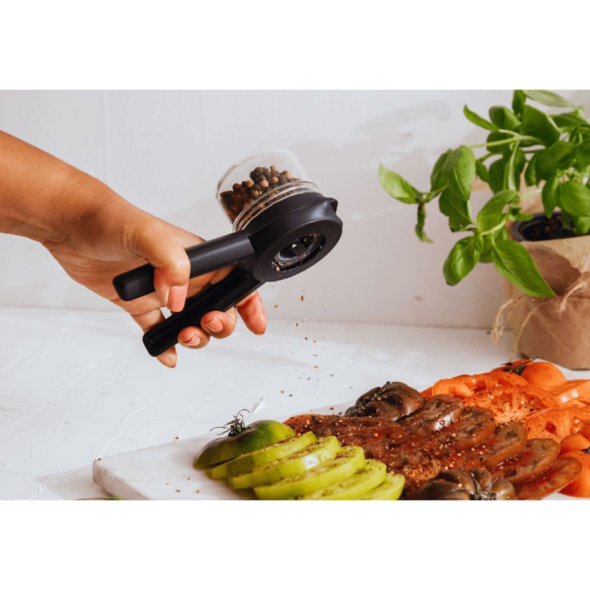 DreamFarm Spice Mill - Black (SH-DFOR7213-BK)