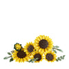 LEGO® Botanicals: Sunflower Bouquet (11502)