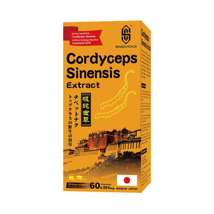 SINGCHOICE Cordyceps Sinensis Extract 60 Capsules