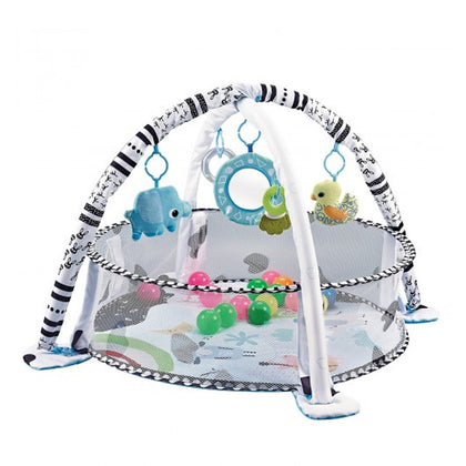 LUCKY BABY 2 in 1 Ocean Activity Playgym Round Fence with 20pcs Ocean Ball