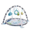 LUCKY BABY 2 in 1 Ocean Activity Playgym Round Fence with 20pcs Ocean Ball