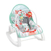 Fisher-Price Newborn to Toddler Rocker (HJC49)