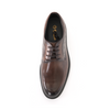 Goldlion Leather Shoes - Brown