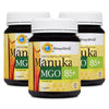 HoneyWorld Manuka MGO85+ 1kg - Bundle of 3