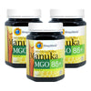 HoneyWorld Manuka MGO85+ 1kg - Bundle of 3