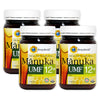 HoneyWorld Raw Manuka UMF12+ 500g - Bundle of 4