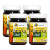 HoneyWorld Raw Manuka UMF 5+ 500g - Bundle of 4