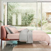 INTERO Lumier Micro Collection - Blush