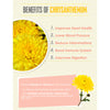 [Limited Time Only] Kinohimitsu Bird's Nest with Chrysanthemum 75g x 6 Bottles