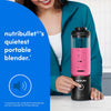NUTRIBULLET 650ml Flex Cordless Portable Smoothie Blender - Gun Metal