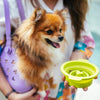 KarryKits Pet Bundle - Blue