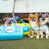 KarryKits Pet Bundle - Blue