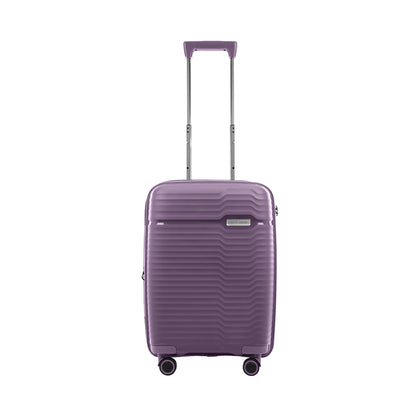 Pierre Cardin  PC-608124 20