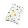 Simply Life Premium Pillow Set (SLLH-DREAMPILLOW_AW)