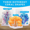 NATIONAL GEOGRAPHIC National Geographic Crystal Reef Coral Growing Lab