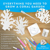 NATIONAL GEOGRAPHIC National Geographic Crystal Reef Coral Growing Lab