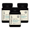 WildCape Manuka UMF 8+ 500g - Bundle of 3