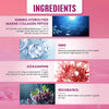 Kinohimitsu Daily Collagen Nourishment Gift Box