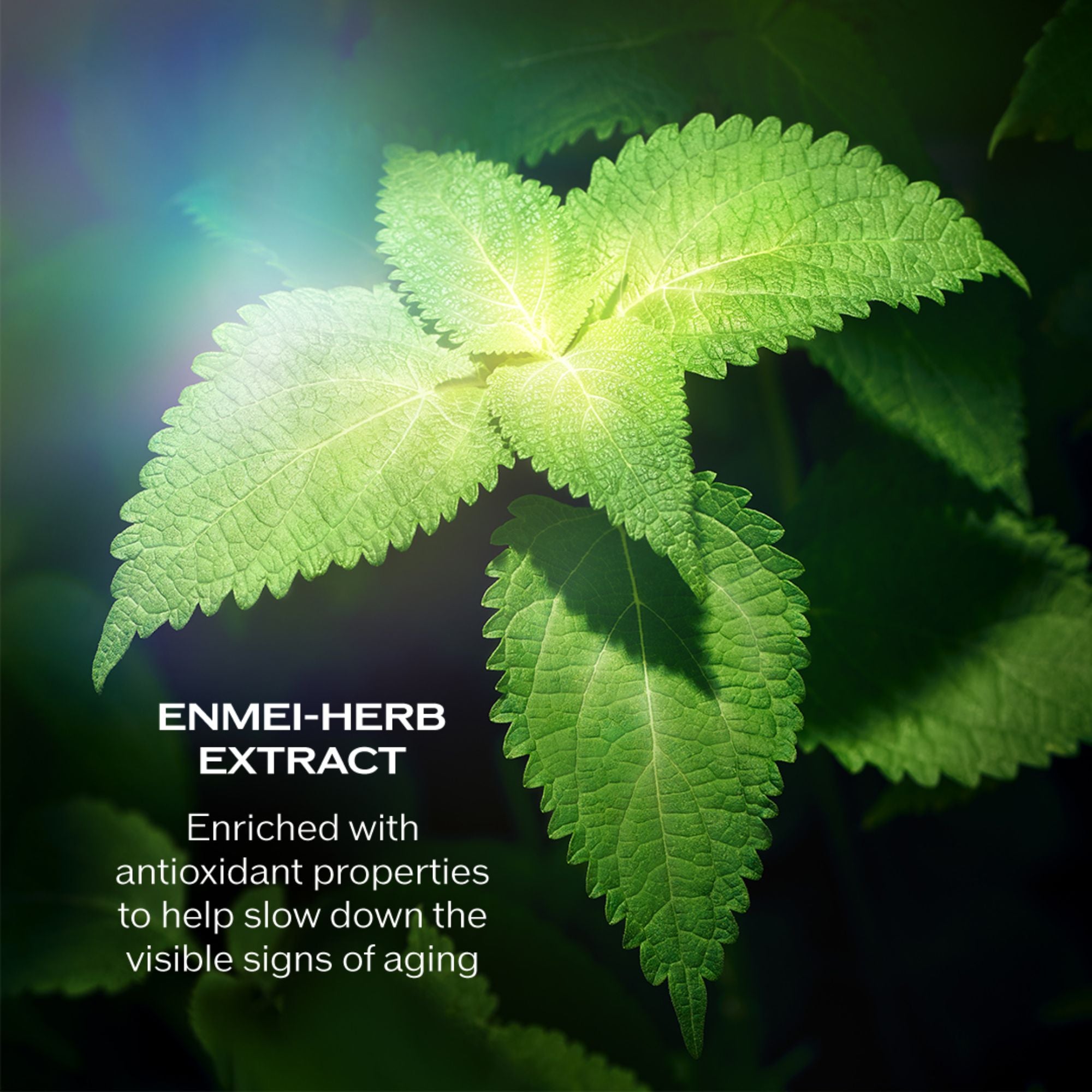 Shiseido Holiday Enmei Luminance Set (worth $1,297)