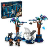 LEGO Harry Potter TM: Forbidden Forest™: Magical Creatures (76432)