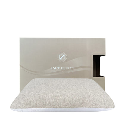 INTERO Visco-Air Premium Charcoal-infused Duo Core Memory Foam Pillow